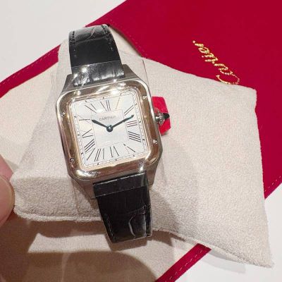 Cartier Santos Dumont 38*27.5mm Swiss Quartz Movement Crocodial Leather Strap Women Watch